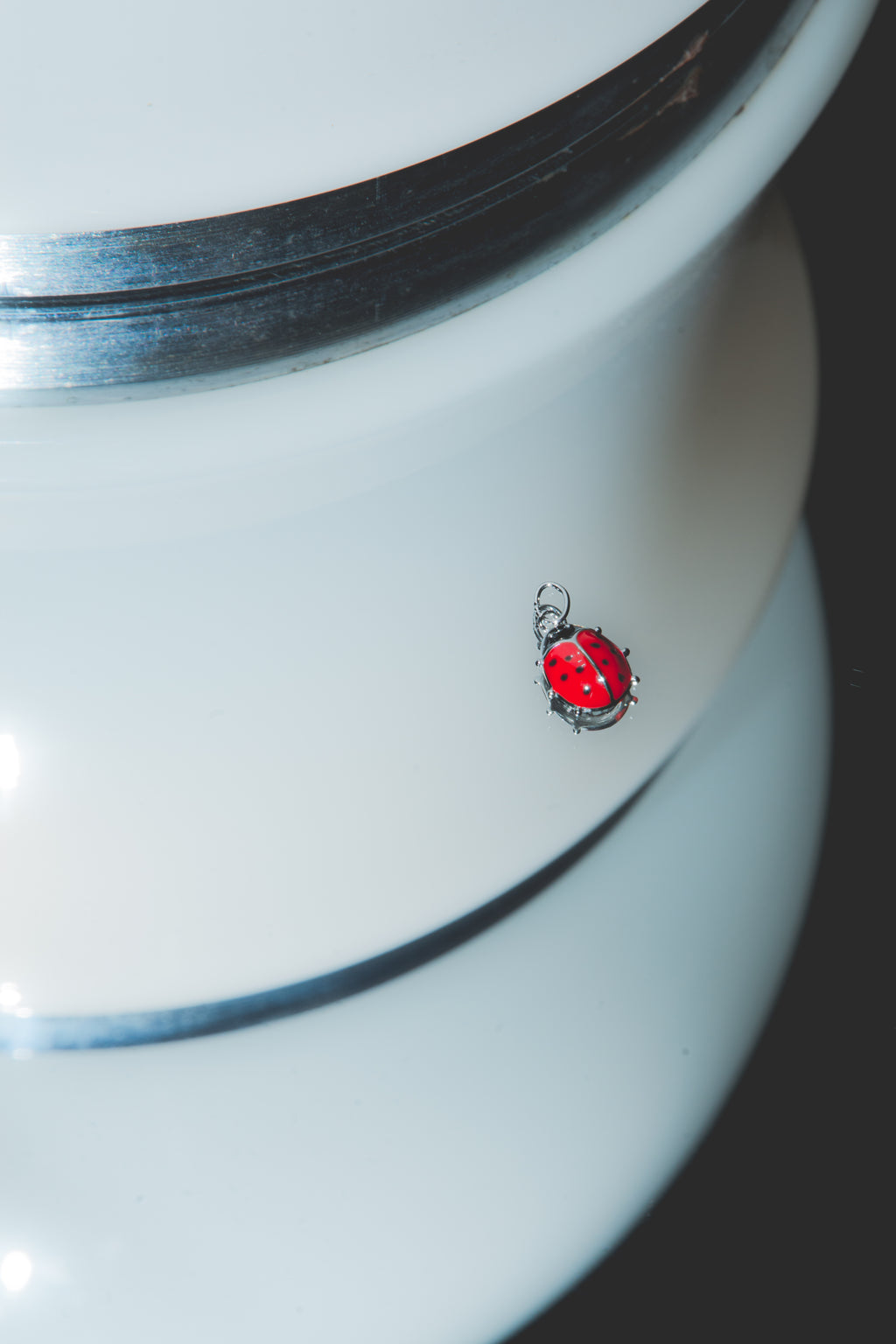 Red Ladybug