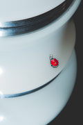 Red Ladybug
